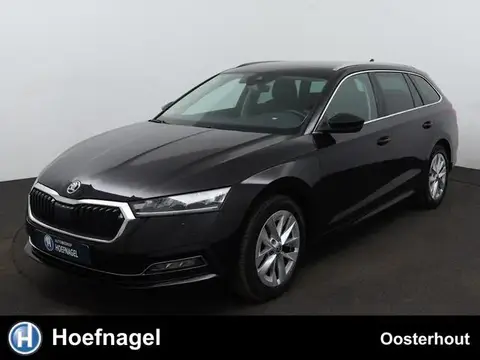 Used SKODA OCTAVIA Petrol 2021 Ad 