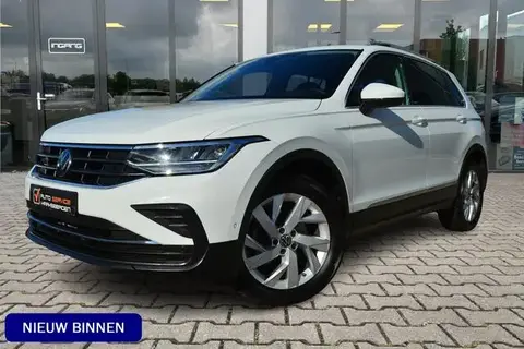 Used VOLKSWAGEN TIGUAN Petrol 2023 Ad 