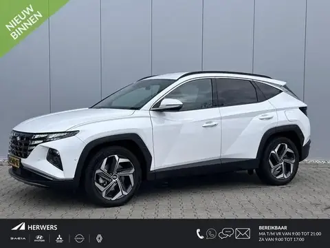 Used HYUNDAI TUCSON Hybrid 2022 Ad 