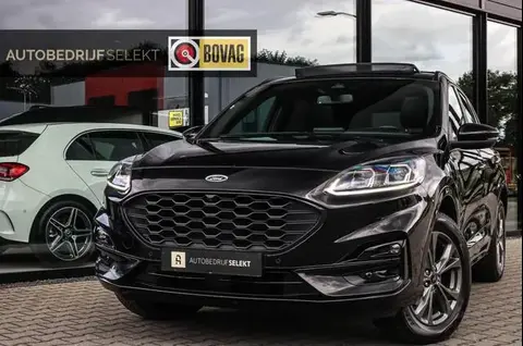 Used FORD KUGA Hybrid 2022 Ad 