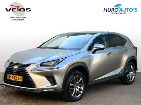 Used LEXUS NX Hybrid 2019 Ad 