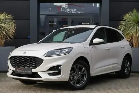 Used FORD KUGA Hybrid 2023 Ad 