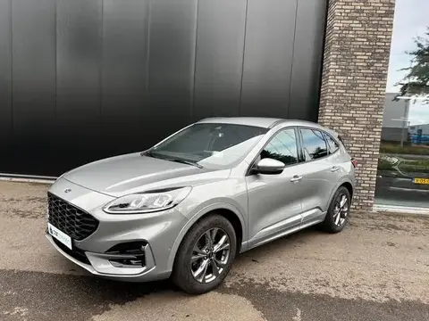 Used FORD KUGA Petrol 2020 Ad 