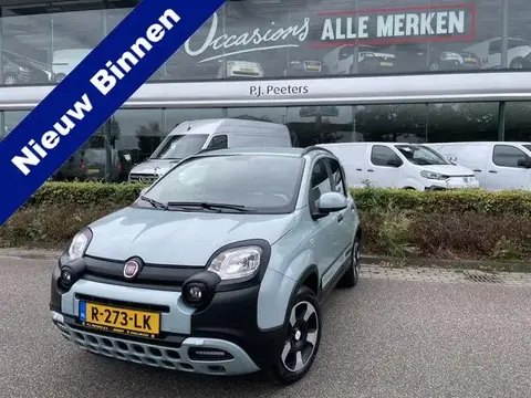 Used FIAT PANDA Hybrid 2020 Ad 