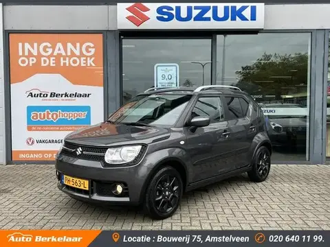 Used SUZUKI IGNIS Petrol 2017 Ad 