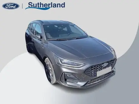 Used FORD FOCUS Hybrid 2023 Ad 