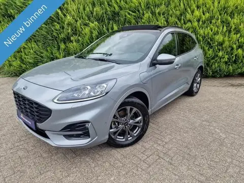 Used FORD KUGA Electric 2021 Ad 