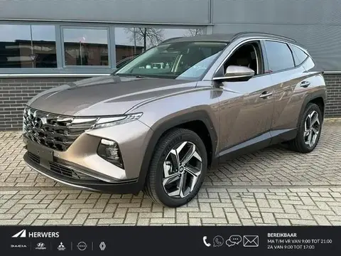 Annonce HYUNDAI TUCSON Hybride 2024 d'occasion 