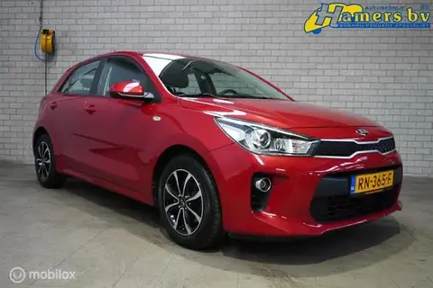 Used KIA RIO Petrol 2018 Ad 