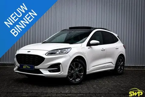 Used FORD KUGA Hybrid 2020 Ad 