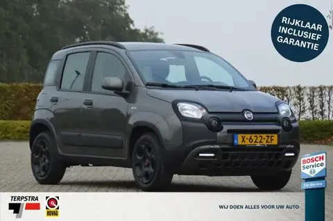 Used FIAT PANDA Petrol 2023 Ad 