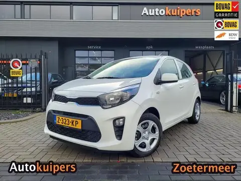 Annonce KIA PICANTO Essence 2024 d'occasion 