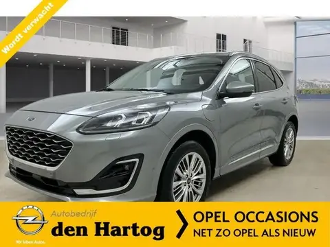 Used FORD KUGA Hybrid 2022 Ad 