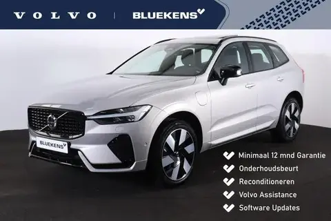 Annonce VOLVO XC60 Hybride 2024 d'occasion 