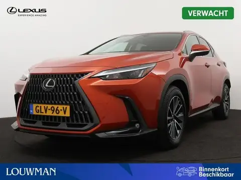 Used LEXUS NX Hybrid 2022 Ad 