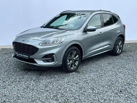 Used FORD KUGA Hybrid 2023 Ad 