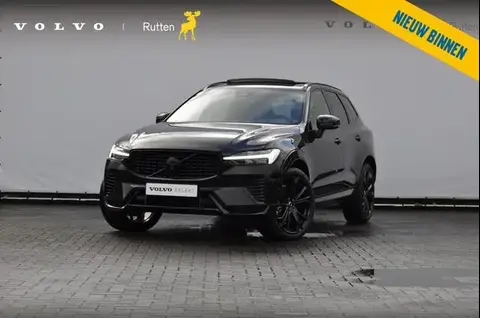 Used VOLVO XC60 Hybrid 2024 Ad 