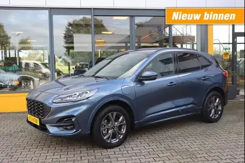 Annonce FORD KUGA Hybride 2021 d'occasion 