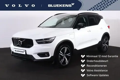 Used VOLVO XC40 Hybrid 2021 Ad 