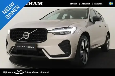 Used VOLVO XC60 Hybrid 2024 Ad 