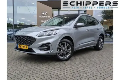 Used FORD KUGA Hybrid 2022 Ad 