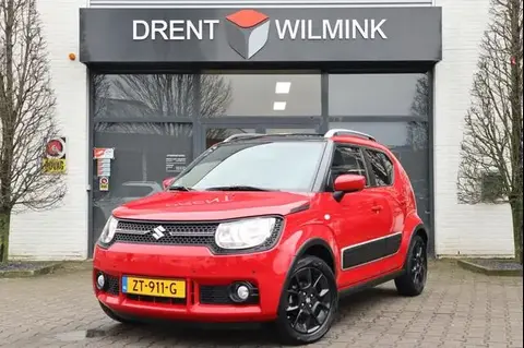 Used SUZUKI IGNIS Petrol 2019 Ad 