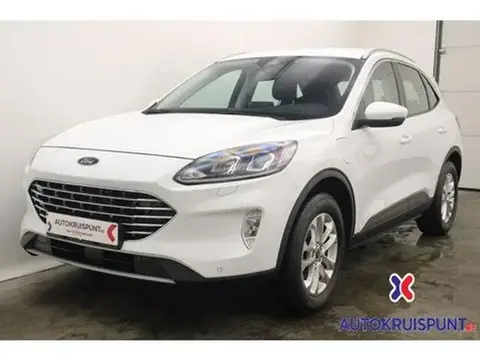 Used FORD KUGA Not specified 2021 Ad 