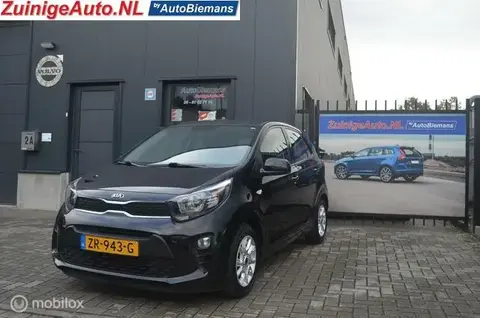 Annonce KIA PICANTO Essence 2019 d'occasion 