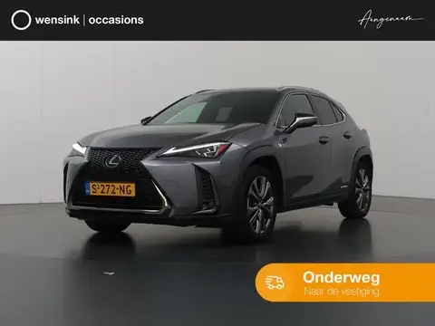 Used LEXUS UX Hybrid 2020 Ad 