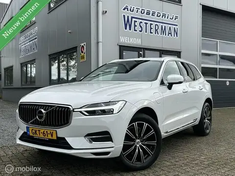 Annonce VOLVO XC60 Hybride 2020 d'occasion 