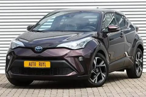 Used TOYOTA C-HR Hybrid 2022 Ad 