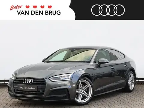 Used AUDI A5 Petrol 2019 Ad 