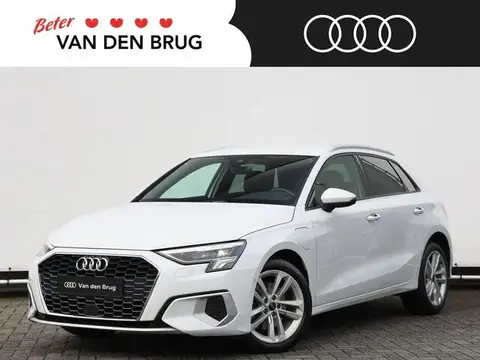 Used AUDI A3 Hybrid 2021 Ad 