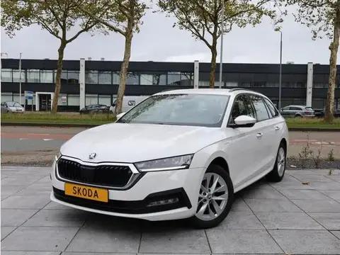 Annonce SKODA OCTAVIA Hybride 2022 d'occasion 