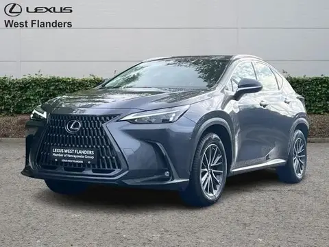 Used LEXUS NX Hybrid 2023 Ad 