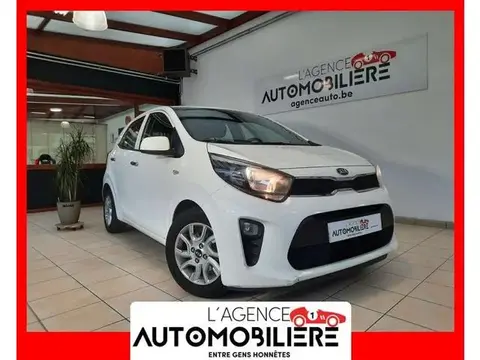 Used KIA PICANTO Petrol 2019 Ad 