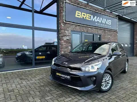 Used KIA RIO Petrol 2019 Ad 