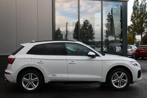 Used AUDI Q5 Hybrid 2021 Ad 