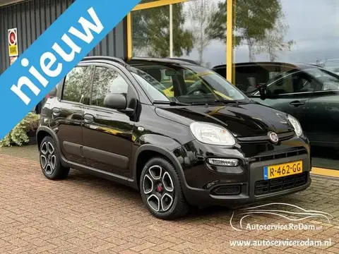 Annonce FIAT PANDA Essence 2022 d'occasion 