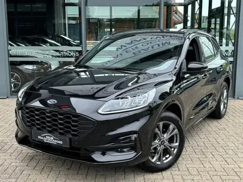 Used FORD KUGA Hybrid 2023 Ad 