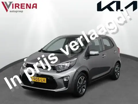 Used KIA PICANTO Petrol 2023 Ad 