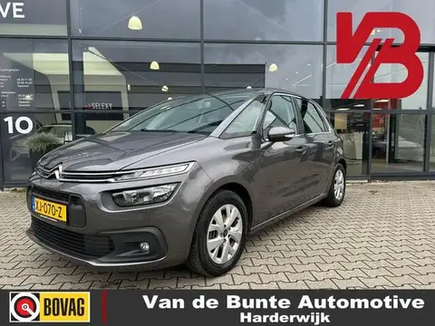 Used CITROEN C4 Petrol 2019 Ad 