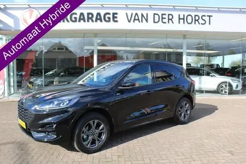 Used FORD KUGA Hybrid 2023 Ad 