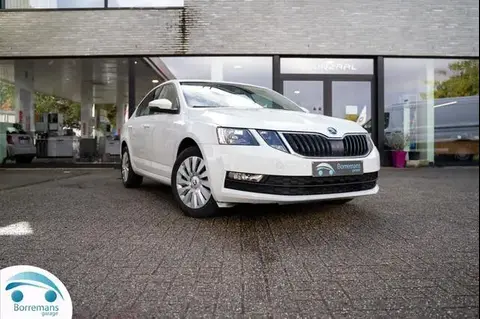 Used SKODA OCTAVIA Petrol 2018 Ad 