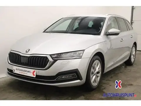 Used SKODA OCTAVIA Petrol 2022 Ad 