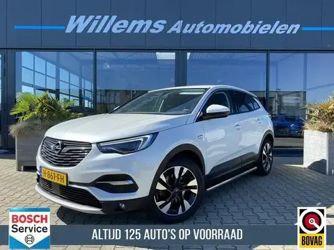 Used OPEL GRANDLAND Petrol 2020 Ad 