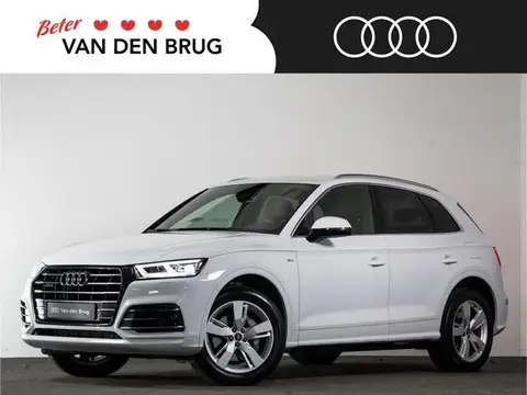 Used AUDI Q5 Hybrid 2021 Ad 