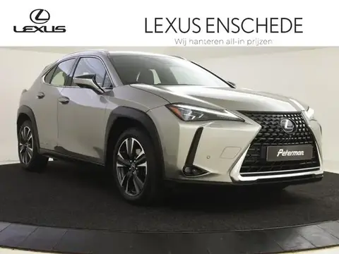 Used LEXUS UX Hybrid 2020 Ad 