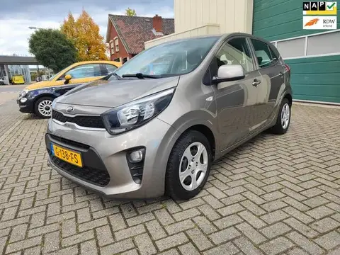 Used KIA PICANTO Petrol 2019 Ad 