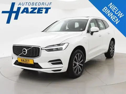 Used VOLVO XC60 Hybrid 2021 Ad 